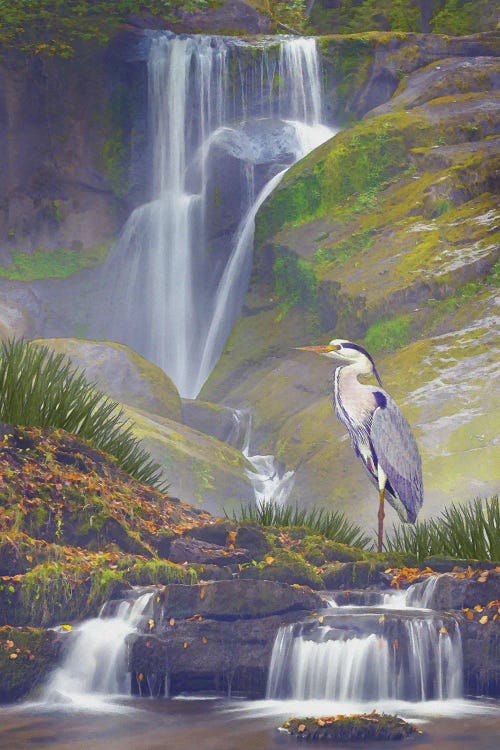 Mistic Heron Falls by Steve Hunziker wall art