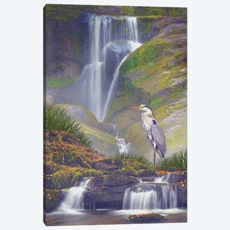 Mistic Heron Falls Canvas Print #ZIK48} by Steve Hunziker Canvas Print
