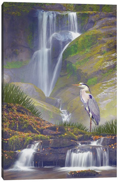 Mistic Heron Falls Canvas Art Print - Heron Art