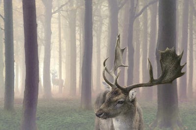 Misty Partners by Steve Hunziker framed wall art