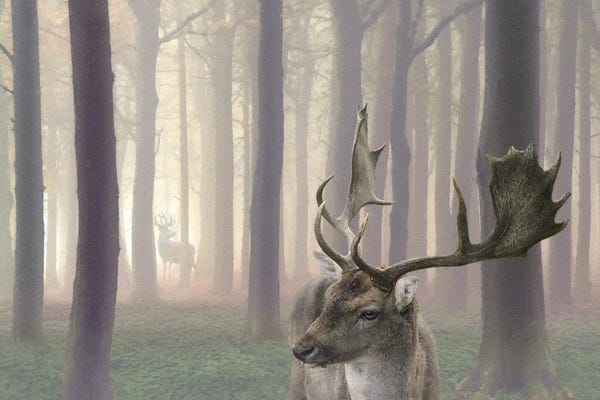 Steve Hunziker: Misty Partners by Steve Hunziker