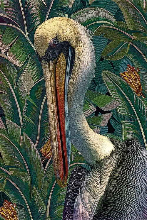 Primal Pelicana by Steve Hunziker wall art