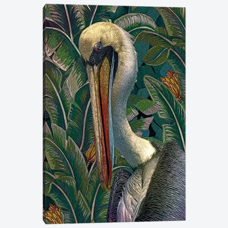 Primal Pelicana Canvas Print #ZIK4} by Steve Hunziker Canvas Art Print