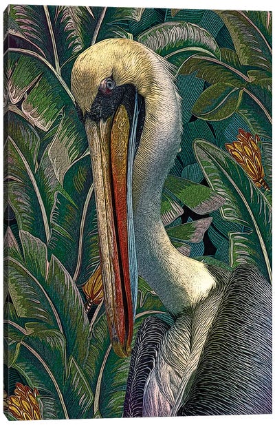 Primal Pelicana Canvas Art Print - Pelican Art