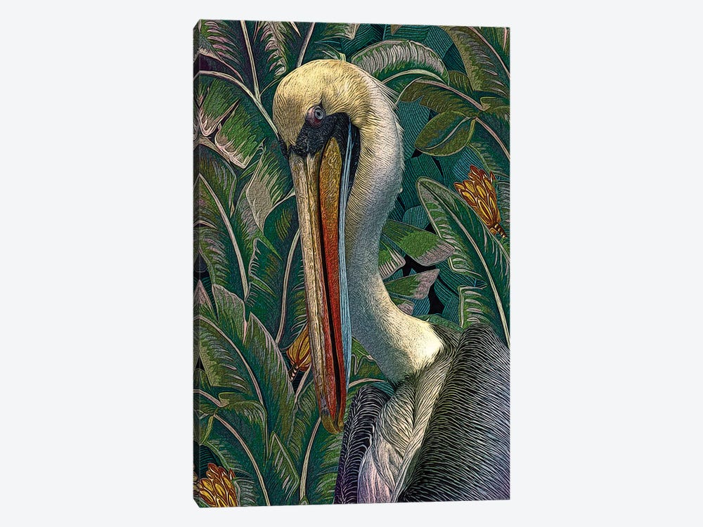 Primal Pelicana by Steve Hunziker 1-piece Canvas Art Print