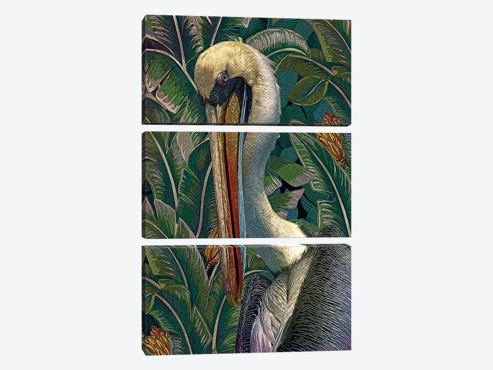 Primal Pelicana by Steve Hunziker 3-piece Art Print