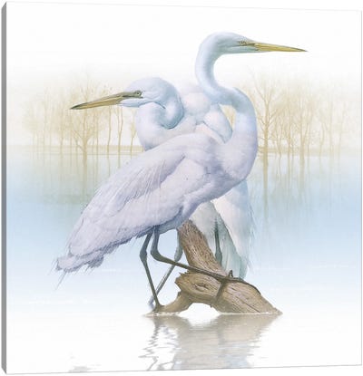 Misty Plumage I Canvas Art Print - Heron Art