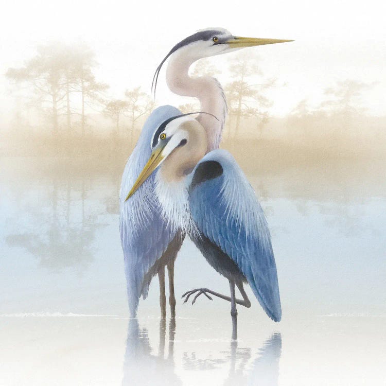 Misty Plumage II by Steve Hunziker wall art