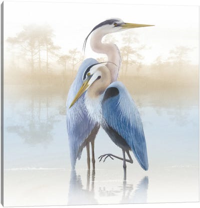 Misty Plumage II Canvas Art Print - Great Blue Heron Art