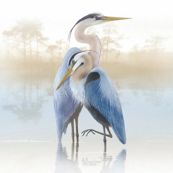 Browse art that iCanvas customers also bought: Misty Plumage II