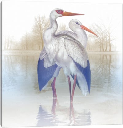 Misty Plumage III Canvas Art Print - Heron Art