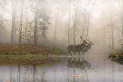 Mistywaders by Steve Hunziker framed wall art
