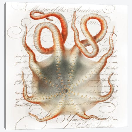 Octopus III Canvas Print #ZIK58} by Steve Hunziker Canvas Art