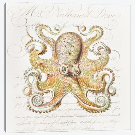 Octopus IV Canvas Print #ZIK59} by Steve Hunziker Canvas Artwork