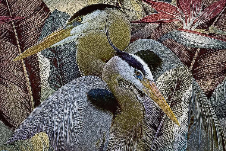 Two to Tango by Steve Hunziker wall art