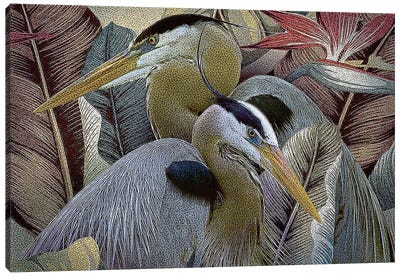Two to Tango Canvas Art Print - Heron Art