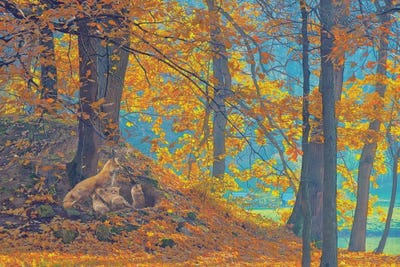 Redish Sanctum by Steve Hunziker canvas print