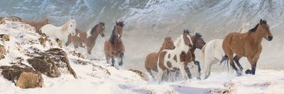 Ridge Runners Full by Steve Hunziker multi panel art