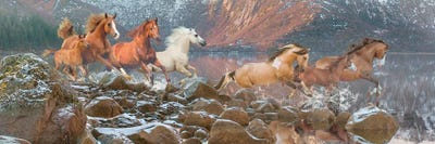 Riverrunners Full by Steve Hunziker canvas print