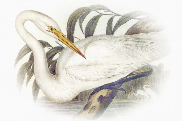 Steve Hunziker: Sentimental Plumage II by Steve Hunziker