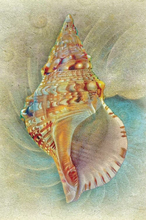 Aquatica I