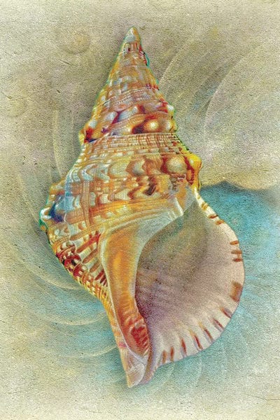 Steve Hunziker: Aquatica I by Steve Hunziker