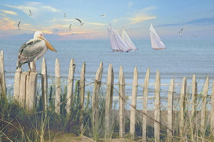 Summer Breeze by Steve Hunziker wall art