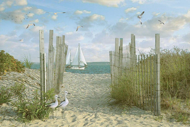 Summer Sands by Steve Hunziker wall art