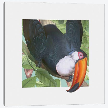 Toucan Peeking Canvas Print #ZIK74} by Steve Hunziker Art Print