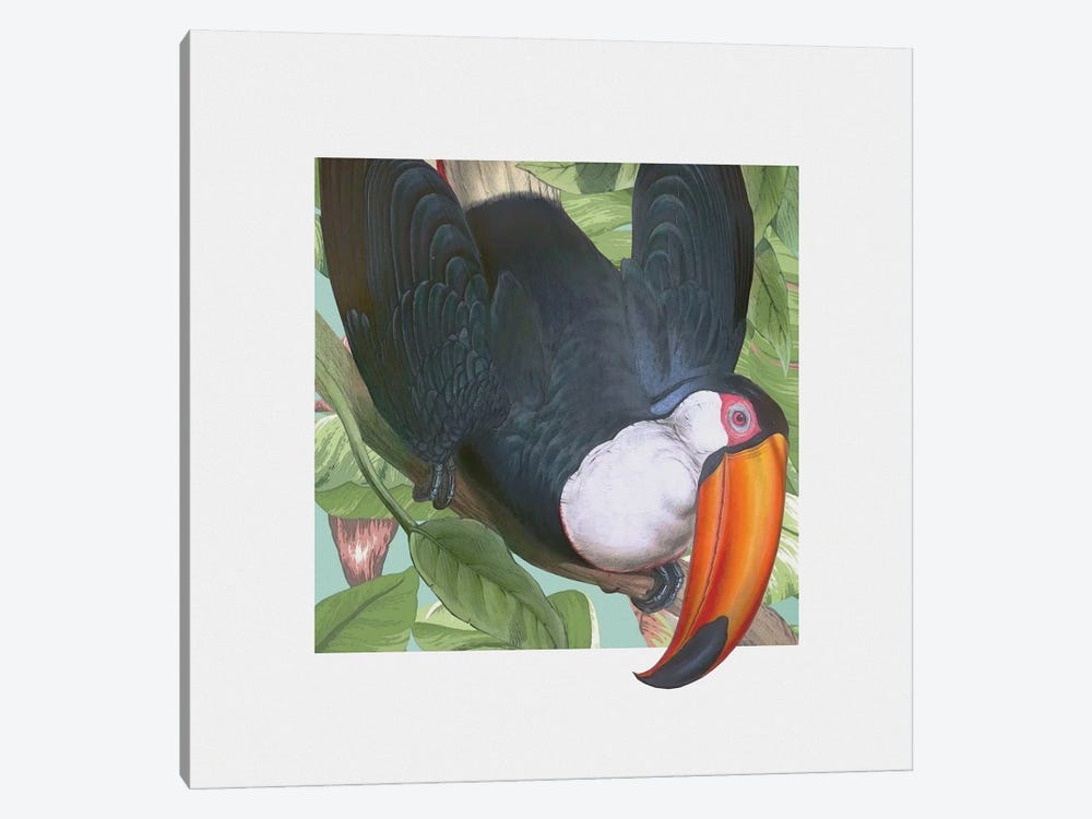 Toucan Peeking by Steve Hunziker 1-piece Art Print