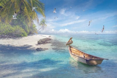 Tropical Shangrila II by Steve Hunziker framed wall art