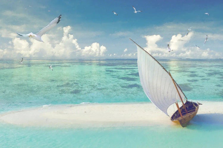 Tropical Shangrila III by Steve Hunziker wall art