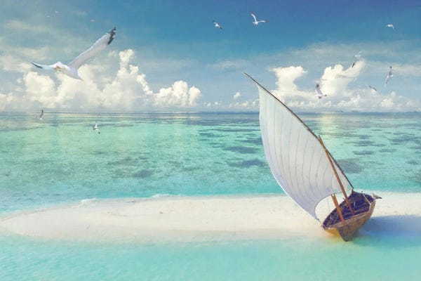 Steve Hunziker: Tropical Shangrila III by Steve Hunziker