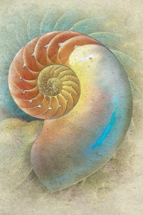 Aquatica II by Steve Hunziker wall art