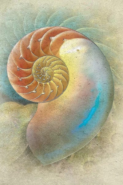 Steve Hunziker: Aquatica II by Steve Hunziker