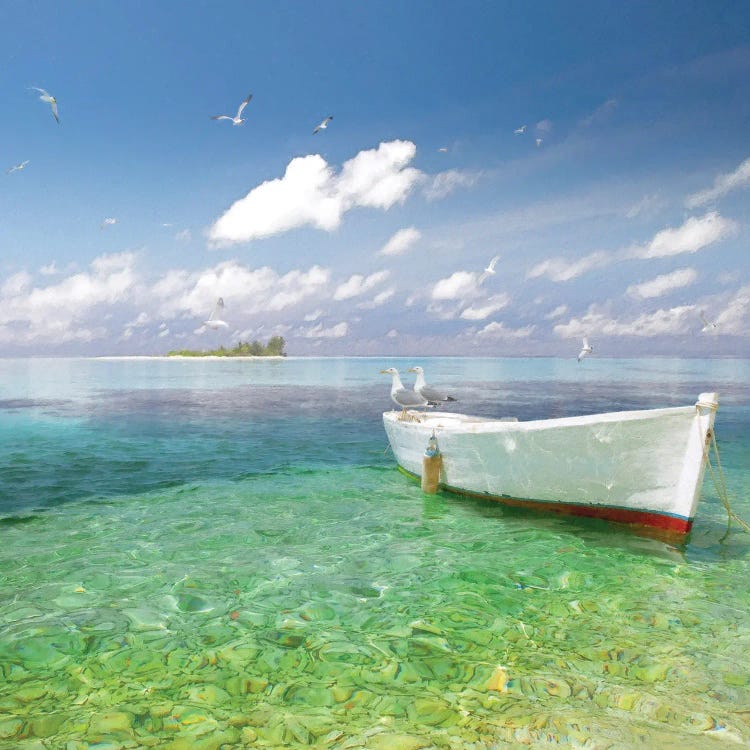 Tropical Shangrila IV by Steve Hunziker wall art
