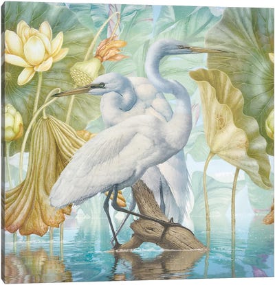 Water Walkers I Canvas Art Print - Heron Art