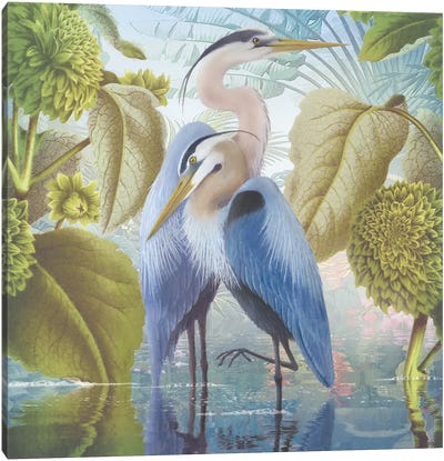 Water Walkers II Canvas Art Print - Heron Art