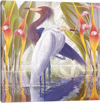 Water Walkers IV Canvas Art Print - Heron Art