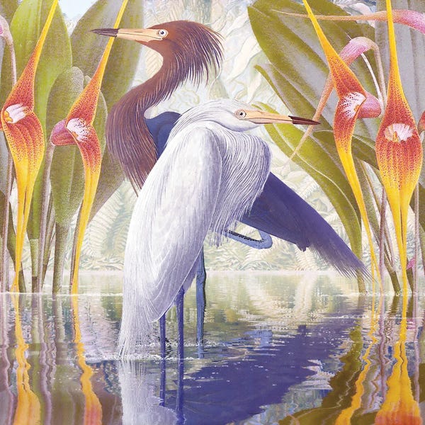 Steve Hunziker: Water Walkers IV by Steve Hunziker