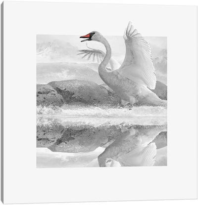 White Wash Canvas Art Print - Steve Hunziker