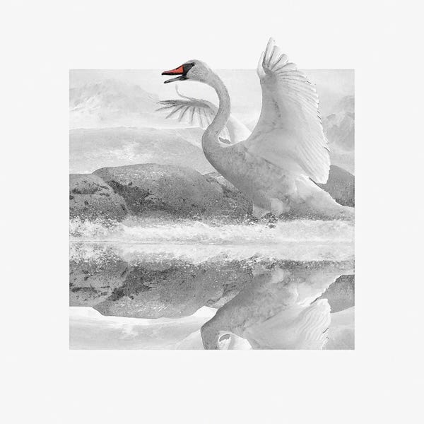 Steve Hunziker: White Wash by Steve Hunziker