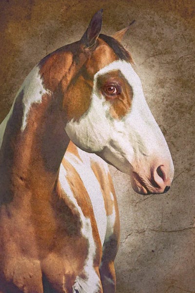 Steve Hunziker: Wild & Free I by Steve Hunziker