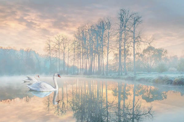 Wintry Solace