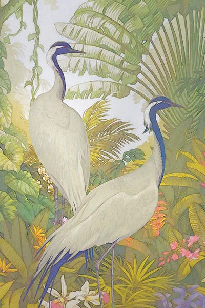 Yingyang Plumage IV by Steve Hunziker framed wall art