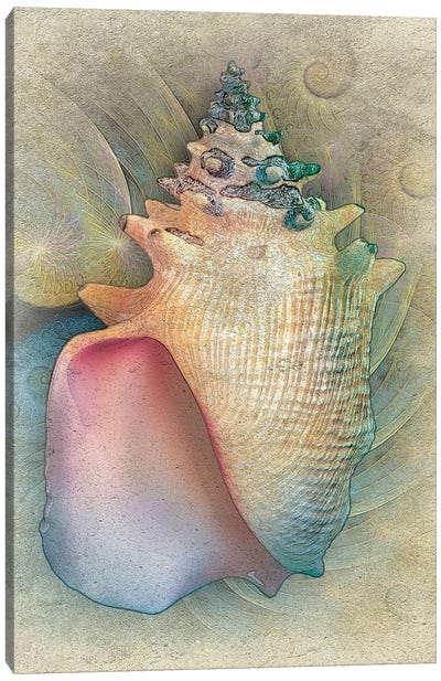 Aquatica IV Canvas Art Print - Steve Hunziker