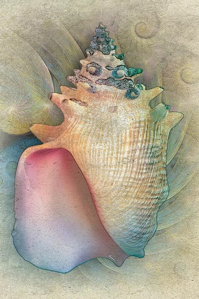 Steve Hunziker: Aquatica IV by Steve Hunziker