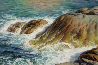 Sea Symphony II by Serguei Zlenko framed wall art