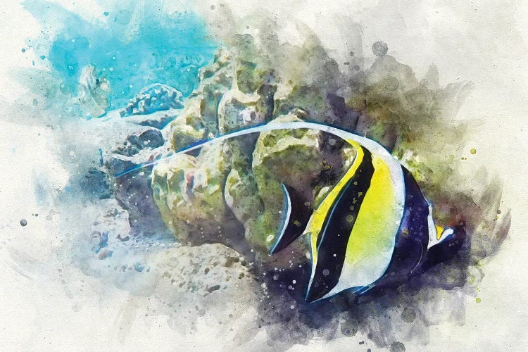 Moorish Idol Watercolor by Christine Zalewski wall art