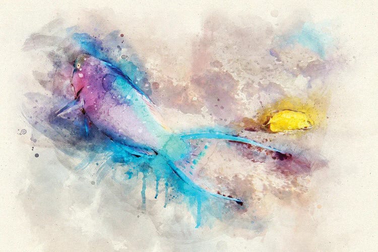 Parrotfish Watercolor by Christine Zalewski wall art